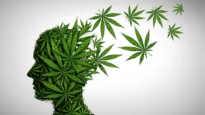 marijuana-brain-effects-mental-health.webp.webp
