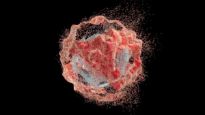 tumor-cancer-cell-destruction.webp.webp