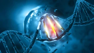 dna-damage-genetic-mutation.webp.webp