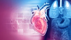 human-heart-anatomy-structure.webp.webp